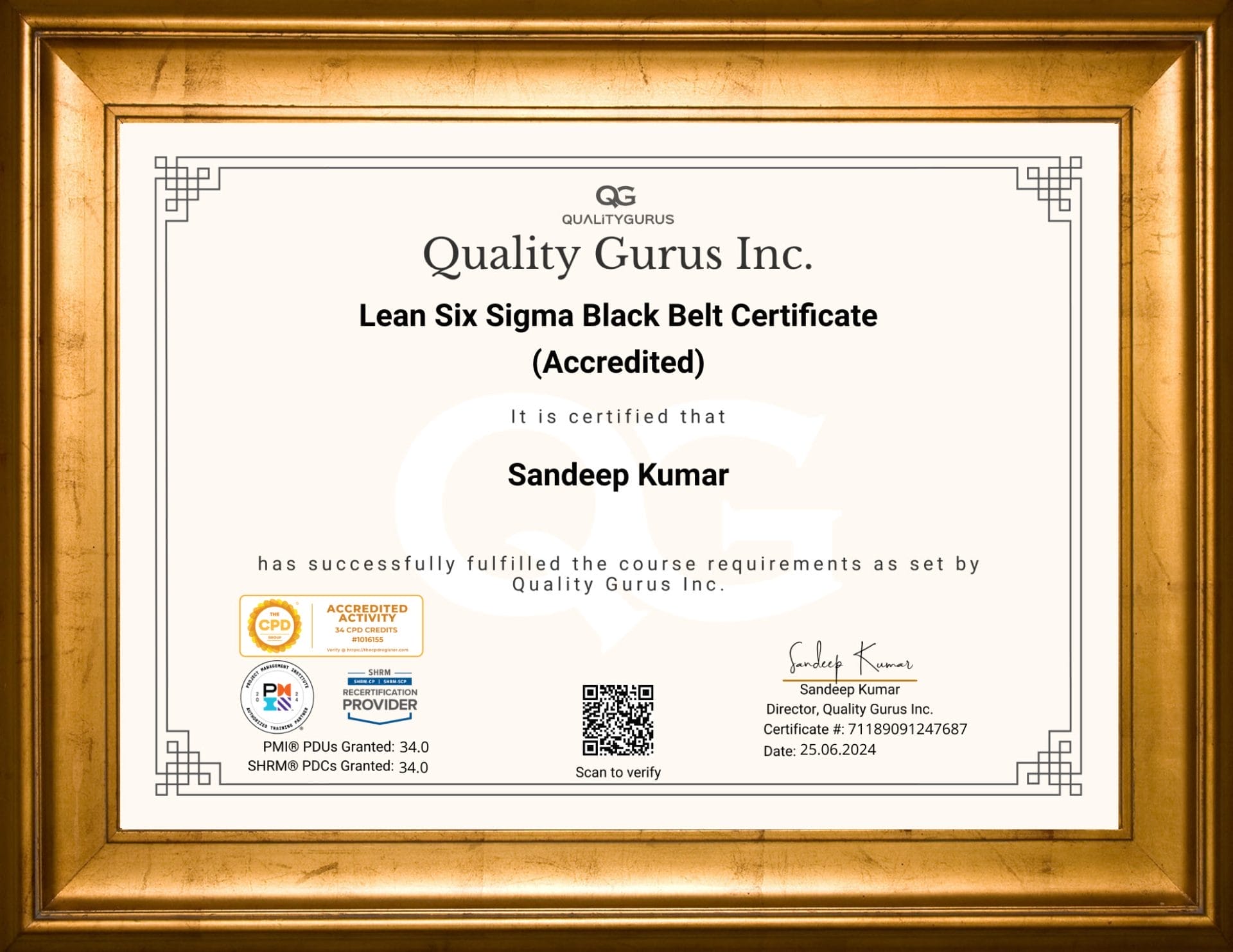 Six sigma certification online