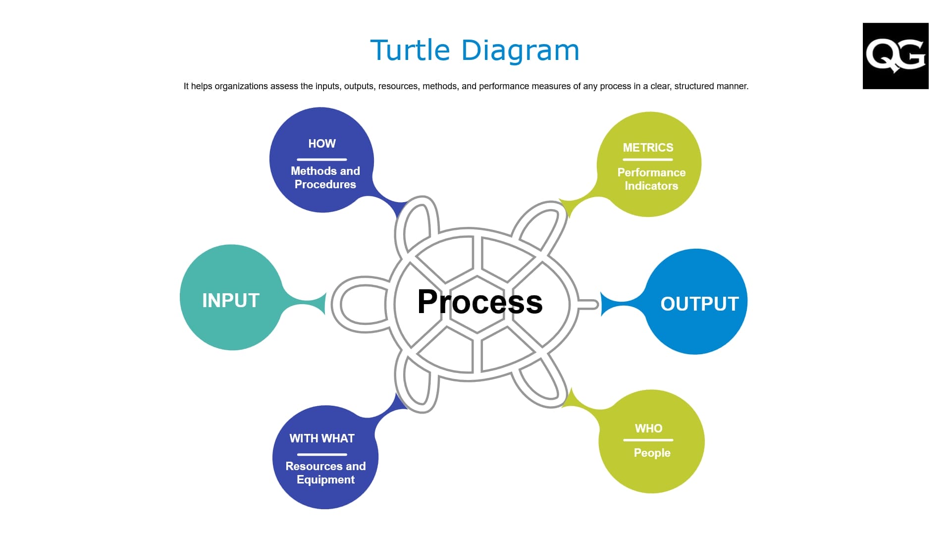 Turtle Diagram